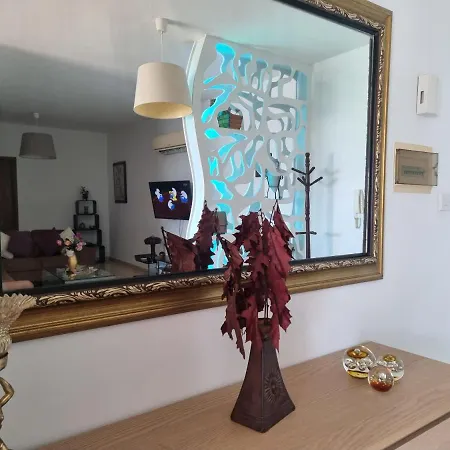 Salt Centre Daire Larnaca